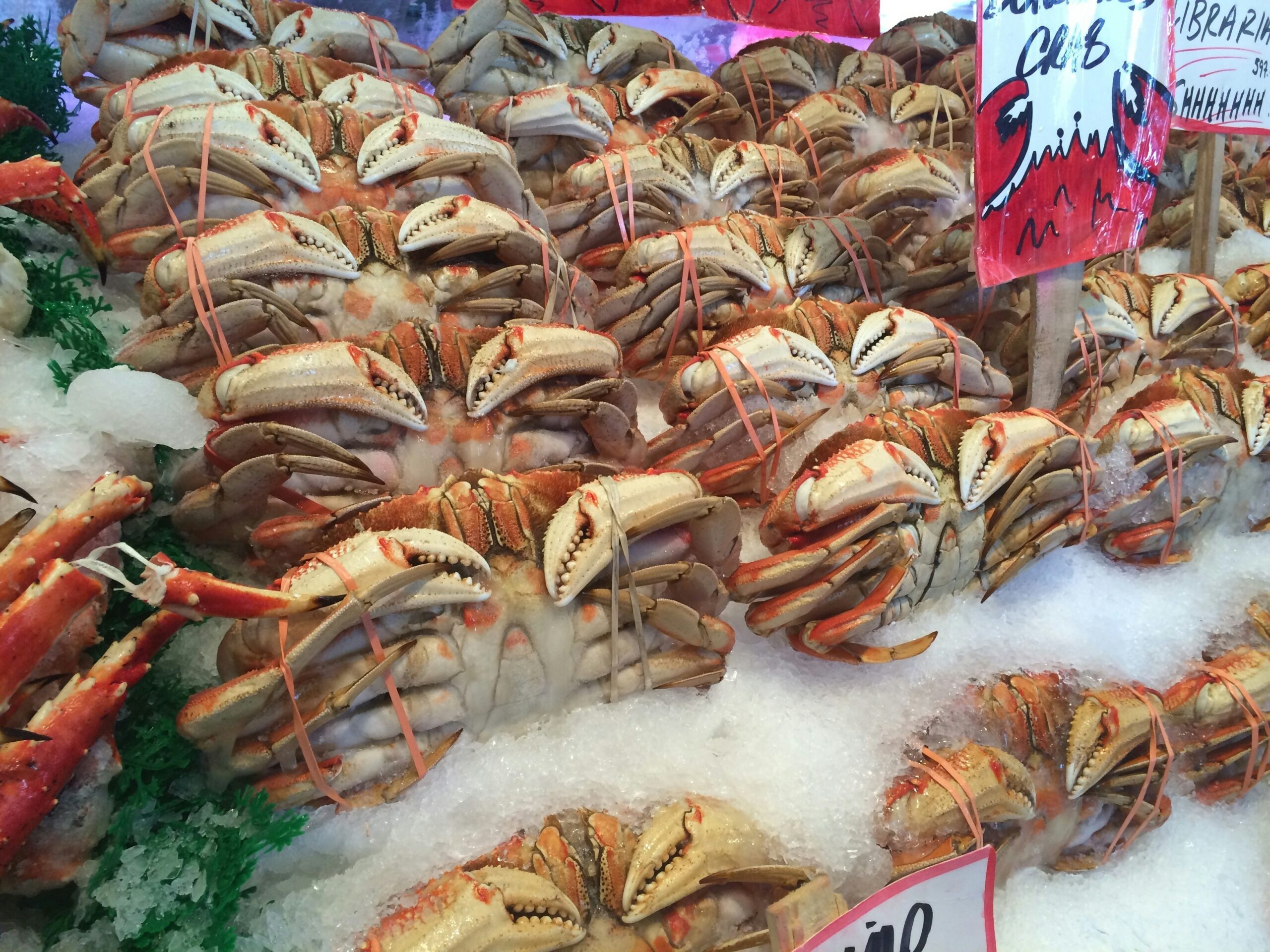 Calamariere