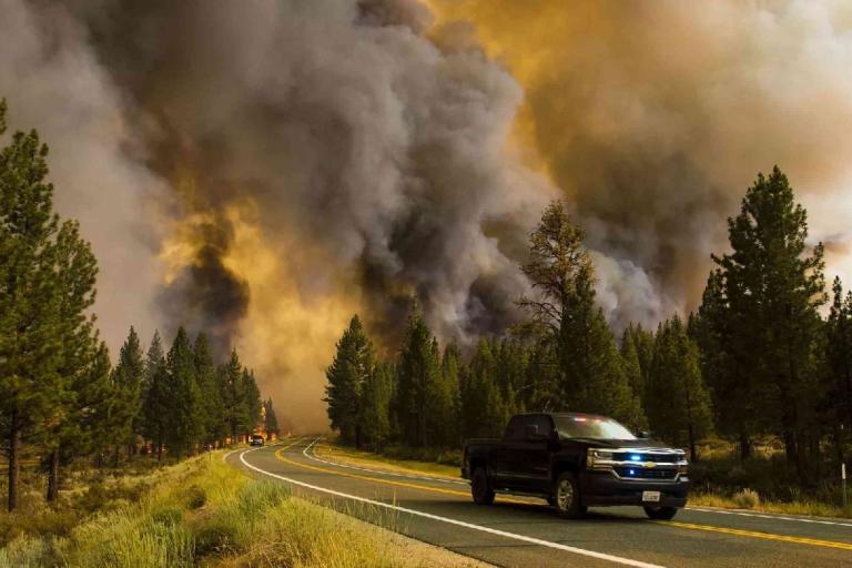 Smart Wildfire Management