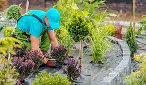 landscaping service in Enterprise, NV