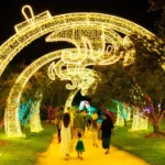 Light Up Your Holidays with Valley Christmas Lights