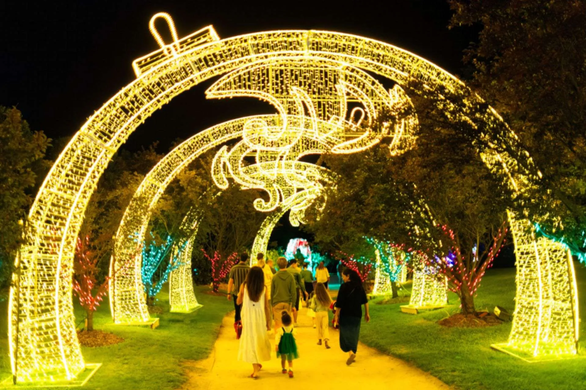 Light Up Your Holidays with Valley Christmas Lights