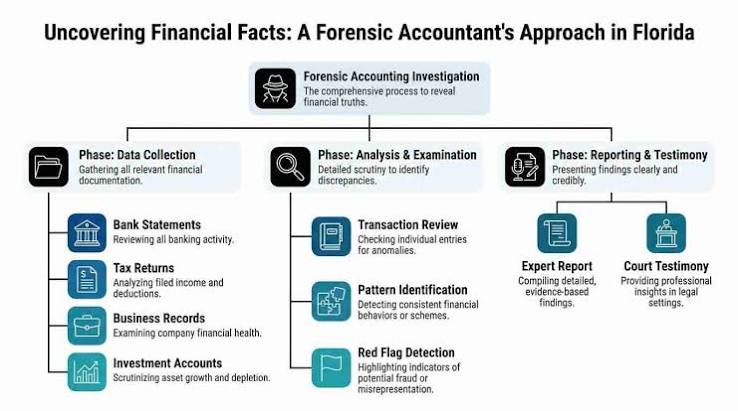 A Forensic Accountant